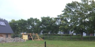 Jule und der Rasen Nr. 02